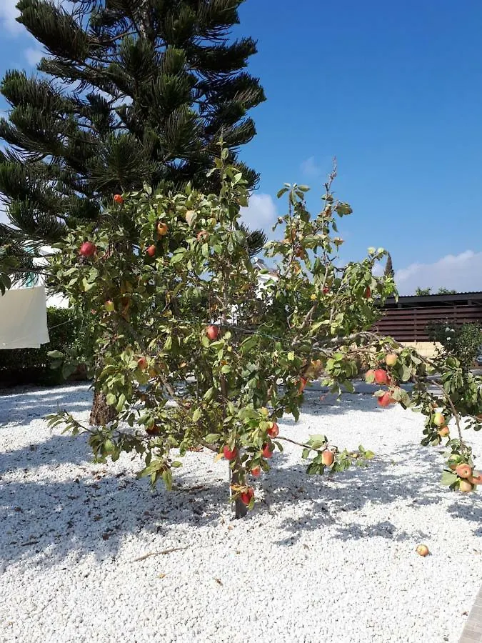 Villa Bouboulina Cyprus 아이아 나파 0*,